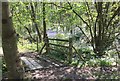 Footbridge in Walsted Wood in TN6 3RY