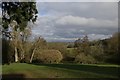View across the park in Nuneham Courtenay