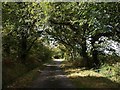 Lane near Ditsham in EX21 5LF