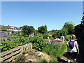 Allotments in Hanwell in W7 2AF
