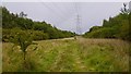 Powerline, Dawson Community Woodland in FK2 8HQ