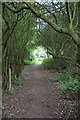 Tree Tunnel on the Path to Church Wood in CM15 0BS
