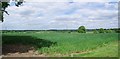 Arable Panorama Stondon Massey Hall in CM15 0LD