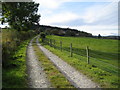 Track to Northbrae in AB31 6JQ