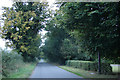 Country Road between the A10 and A134 in PE33 0FD