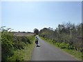 Cycle track south of Exton in shallow valley in EX3 0PX
