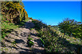 North Devon : Footpath in EX35 6PS