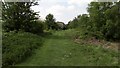 Welnetham Railway Line Walk in Little Whelnetham