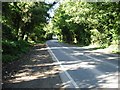 Looking W along the Alkham Road in CT16 3DZ