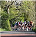 The Pelaton approaches Askwith in the 2018 Tour de Yorkshire in LS21 2JB