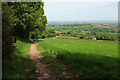 Path below Haldon Belvedere in EX6 7BX
