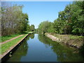 Daw End Branch, Wyrley & Essington Canal, looking north in WS9 9LJ