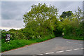 East Devon : Country Lane in EX14 3LQ