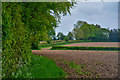 East Devon : Ploughed Field in EX14 3LQ
