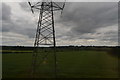 Pylon by Reading to Taunton Line in SN10 4PY