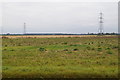 Fields and pylons near Setch Road in PE33 0FB