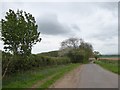Road south of Westleigh Farm in TA5 2EH