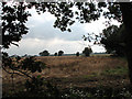 View south towards Old Carr in NR29 5LR