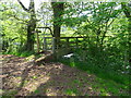 Shady footbridge over Afon Honddu in Crucorney Community