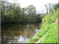 The River Coquet, looking upstream in NE65 8JE