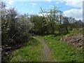 Footpath to Auchincarroch Road in G83 9EY