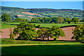 East Devon : Countryside Scenery in EX11 1SP