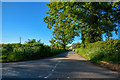 East Devon : Gribble Lane in EX5 2HG