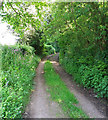 Aylesbeare: Blind Lane in EX5 2AY