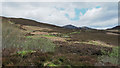 Heather slope with bushes in PH16 5RA