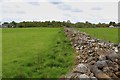 Unusual Dry Stone Walling at Newmore in IV6 7RG