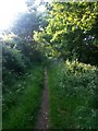 Wimborne Minster: footpath to Parmiter Drive in BH21 2FZ