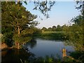 Little Canford: looking across the Stour in BH21 7LS