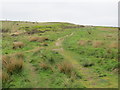 Footpath ascending Baildon Moor in BD17 5PJ