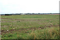 Stubble Field at Boughton in PE33 9BF