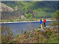 Station Coppice at Thirlmere in St. John's Castlerigg and Wythburn