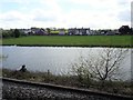 View from a Chester-Holyhead train - Pond near Chester Road in CH6 5WP