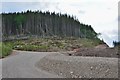 New forest road below Sgurr Mor in IV40 8DH
