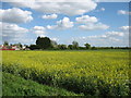 Fields south of Bilton in HU11 4DD
