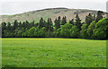 Parkland at Blair Castle in PH18 5SG