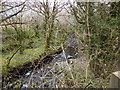 Afon Rhyd, north of Rhostryfan in LL54 7PH