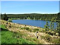 Loch Ettrick, Forest of Ae in DG3 5HL