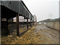 Farm buildings at Rowley Hill in CH3 6RL