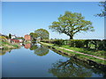 The Wyrley & Essington Canal, looking north in WS8 6BG