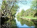 Cyclist on the Anglesey Branch towpath in WS8 7NP
