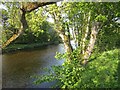 River South Esk in DD8 3SE