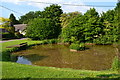 Village pond, Braishfield in SO51 0PL