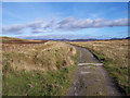 The track to Shinagaig in PH18 5TT