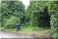 Bridleway near Forge Cottage in TN21 0SA