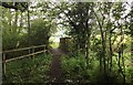Footbridge across a stream in TN21 0SA