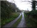 Farm track from Pydew Road to Fron in LL31 9EU